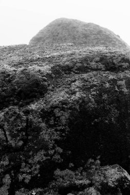 Sisli dağın görüntüsü. Yosun dolu yeşil tepe.