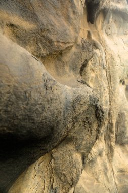 Taşın yüzeyinin görüntüsü. Kaya yüzeyi.