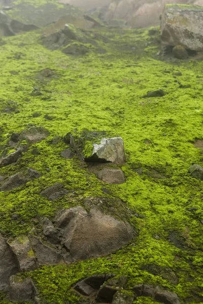 Image Montagne Brumeuse Colline Verte Pleine Mousse — Photo