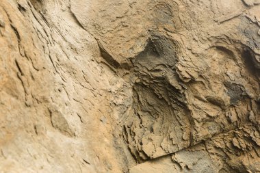 Taşın yüzeyinin görüntüsü. Kaya yüzeyi.