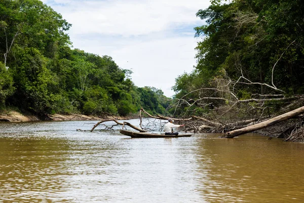 Image Dans Jungle Péruvienne Près Rivière Amazone Eau Calme Arbres — Photo