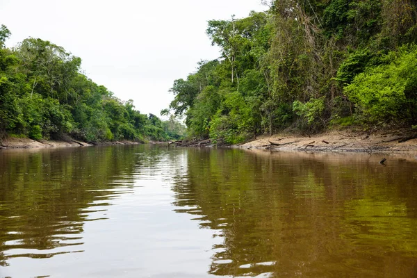 Image in Peruvian jungle, close to amazon river. Calm water, trees, wood.