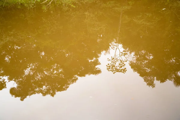 Gambar Hutan Peru Dekat Dengan Amazon Sungai Air Tenang Pohon — Stok Foto