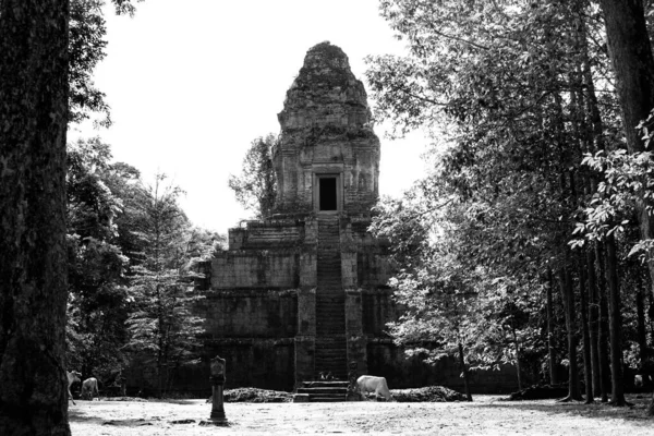 Siam Reap Siam Reap Camboya Septiembre 2016 Imagen Complejo Templo — Foto de Stock