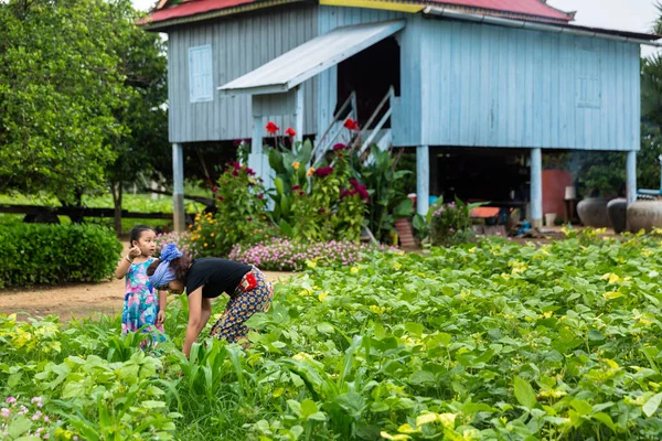 Phnom Penh Phnom Penh Kambodža Října 2016 Obrázek Venkovského Venkova — Stock fotografie