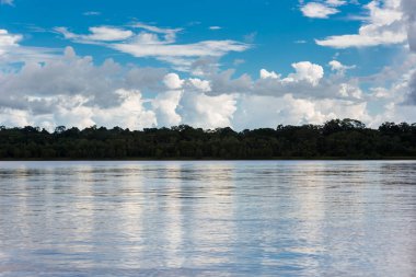 Peru ormanındaki nehrin görüntüsü. Amazon Ormanı 'nda bulutlar var. Açık doğa nehirde seyahat ediyor..