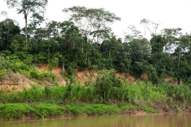 Peru ormanındaki nehrin görüntüsü. Amazon Ormanı 'nda bulutlar var. Açık doğa nehirde seyahat ediyor..