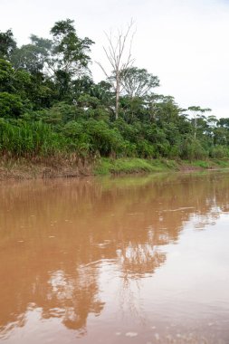 Peru ormanındaki nehrin görüntüsü. Amazon Ormanı 'nda bulutlar var. Açık doğa nehirde seyahat ediyor..