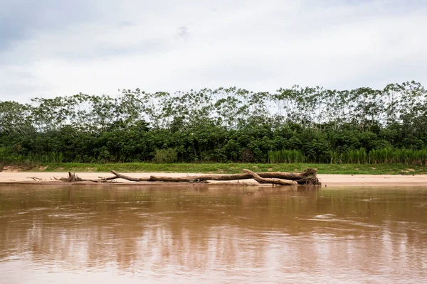 Imagem Floresta Peruana Com Intervação Humana Desmatamento Devido Atividade Humana — Fotografia de Stock