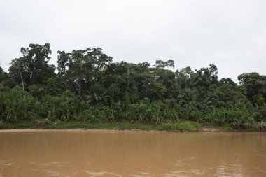 Peru ormanındaki nehrin görüntüsü. Amazon Ormanı 'nda bulutlar var. Açık doğa nehirde seyahat ediyor..