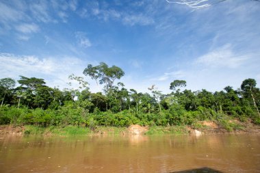 Peru ormanındaki nehrin görüntüsü. Amazon Ormanı 'nda bulutlar var. Açık doğa nehirde seyahat ediyor..