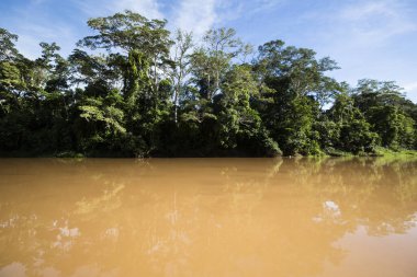 Peru ormanındaki nehrin görüntüsü. Amazon Ormanı 'nda bulutlar var. Açık doğa nehirde seyahat ediyor..