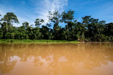 Peru ormanındaki nehrin görüntüsü. Amazon Ormanı 'nda bulutlar var. Açık doğa nehirde seyahat ediyor..