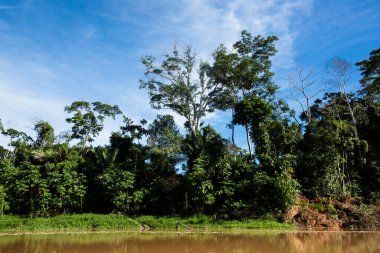 Peru ormanındaki nehrin görüntüsü. Amazon Ormanı 'nda bulutlar var. Açık doğa nehirde seyahat ediyor..