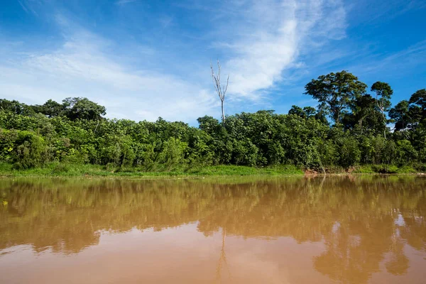 Imagem Rio Selva Peruana Floresta Amazônica Durante Dia Com Nuvens — Fotografia de Stock