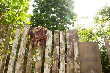 Peru ormanında kurutulmuş eti olan bir çit resmi. Et işlemenin geleneksel yolu. Susuzluk tekniği.. 