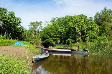 Amazon ormanındaki bir nehirdeki Peru ormanındaki bir teknenin görüntüsü. Peru 'daki tropikal nehirlerde geleneksel ulaşım yolu.