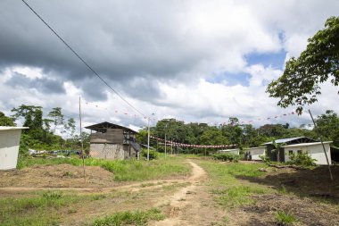 Peru Amazon ormanlarındaki geleneksel bir evin resmi. Güney Amerika 'daki tropikal ormandan gelen yerli halk evi..