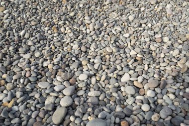 Peru sahilindeki çakıl taşları. Güneşli bir günde yuvarlak taşlar. Çakıl taşı arkaplan resmi.