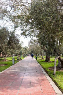 Görüntü: Lima Peru 'daki 