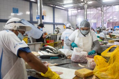 Lima, Lima - Peru - 28 Ekim 2020: Lima Peru 'daki balık pazarının resmi. COVID19 salgını sırasında geleneksel pazar. Satıcılar balıkları müşterilere temizler ve hazırlarlar..