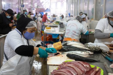 Lima, Lima - Peru - 28 Ekim 2020: Lima Peru 'daki balık pazarının resmi. COVID19 salgını sırasında geleneksel pazar. Satıcılar balıkları müşterilere temizler ve hazırlarlar..