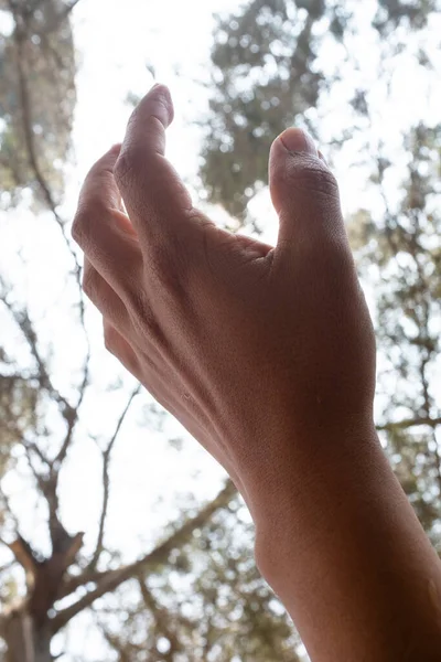 Imagem Mão Masculina Erguer Para Céu Floresta Mão Atingindo Céu — Fotografia de Stock