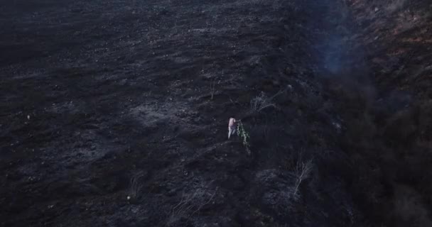 Video Incendio Nelle Ande Peruviane Urubamba Cuzco Montagne Fiamme Durante — Video Stock