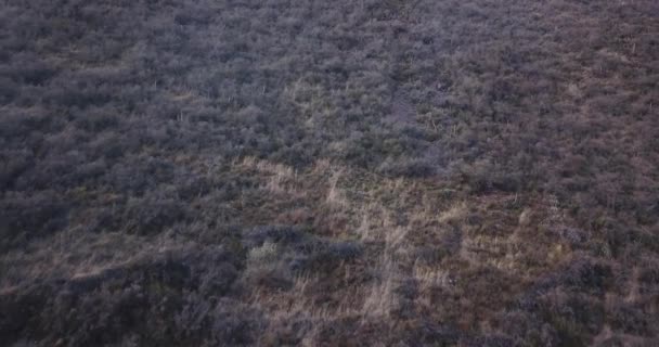 Vidéo Incendie Dans Les Andes Péruviennes Urubamba Cuzco Montagnes Feu — Video