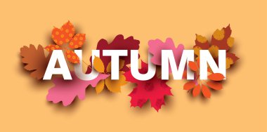 Farklı bitki elemanları ile sonbahar kartı. 