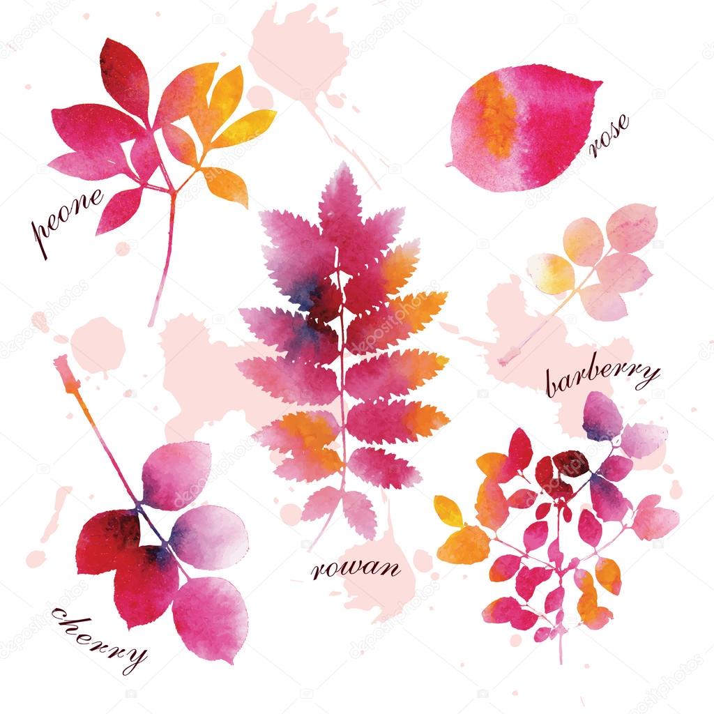 Set of beautiful watercolor autumn leaves.
