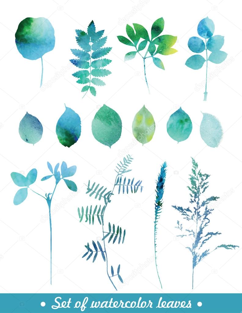 Set of blue watercolor leaves and grass.