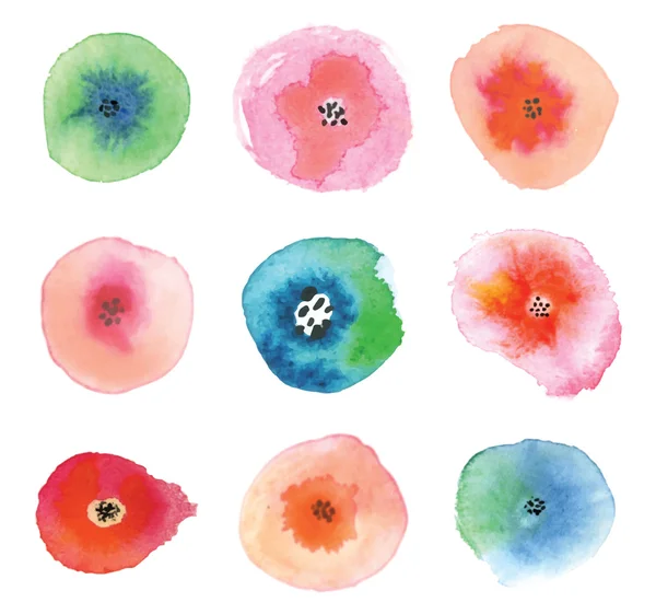 Set of watercolor flowers. Beautiful floral elements. — Stock Vector