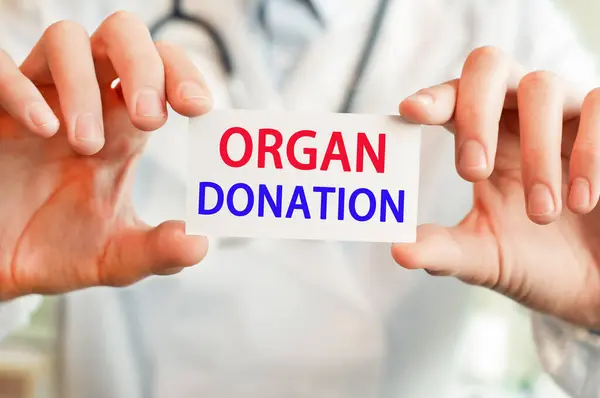 Doctor Sosteniendo Una Tarjeta Con Texto Organ Donation Ambas Manos — Foto de Stock