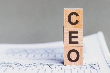 CEO - icra kurulu başkanı - arka plandaki tahta küplerin kısaltması. CEO, genel müdür, tahta küplerin kısaltması. arkaplan - rakamlı belge. İş konsepti.
