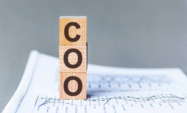 Coo Chief Operating Officer Abkürzung Auf Holzwürfeln Auf Zahlenkolonnen Hintergrund — Stockfoto