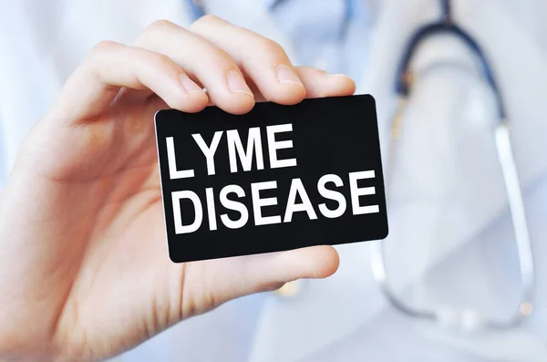 Doctor holding a black paper card with text LYME DISEASE, medical concept. LYME DISEASE card in hands of medical doctor