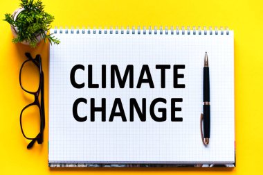 Kelime metni, beyaz kağıttaki değişiklikleri belirler, siyah harfler. Sarı arka planda kalem, bardak ve yeşil çiçek. İş konsepti. Eğitim kavramı.