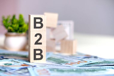 B2B harfli tahta küpler banknotların üzerinde dikey piramit şeklinde dizilmiş, arka planda çiçek saksısında yeşil bitki. B2B - Business To Business, business konseptinin kısaltması.