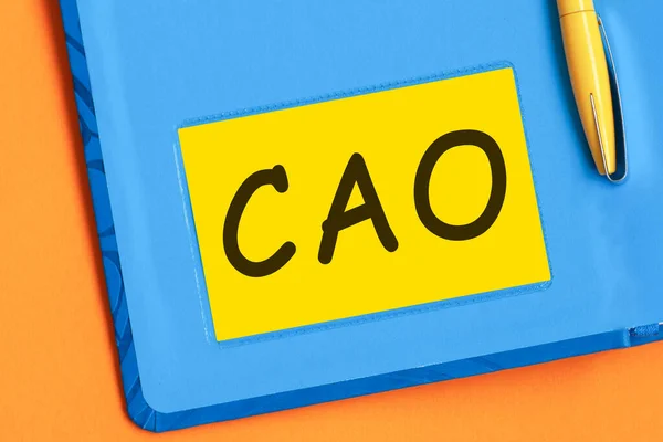 The letters cao is written in black letters on yellow note paper. A yellow pen is embedded in the background of the blue diary. cao short forchief accounting officer