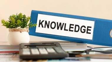 Bilgi - mavi klasör hesap makinesi, kalem ve yeşil saksı bitkisiyle birlikte ofiste. İş, finans, eğitim, denetim ve vergi kavramları için kullanılabilir. Seçici odak.