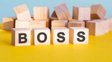 Patron kelime inşaatı harf blokları ve sığ alan derinliği ile iş konsepti