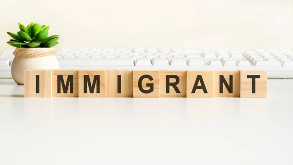 Immigrantenwort Aus Holzklötzen Konzepte Von Vorne Grüne Pflanze Einer Blumenvase — Stockfoto