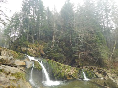 Karpat Dağları'nda küçük şelaleler