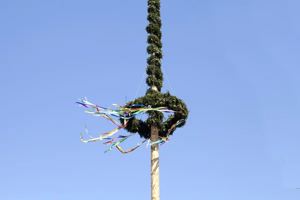 Może drzewo tradycja 1 maja w Niemczech — Zdjęcie stockowe