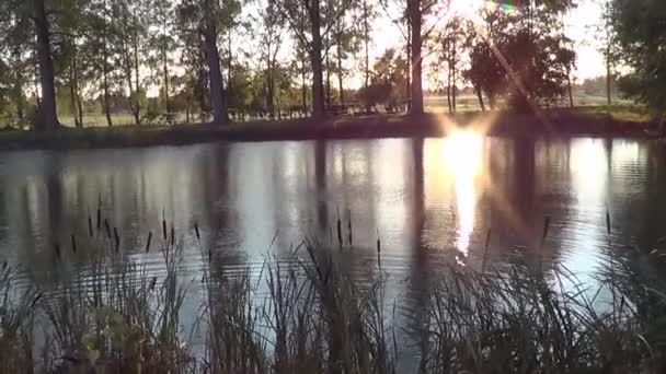 Klidné Jezero Německu Při Západu Slunce Stock Video