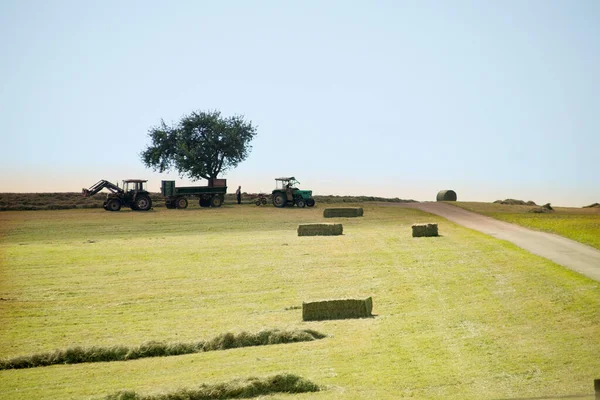 Colheita Feno Trator Trabalho Campo Fazer Palheiros — Fotografia de Stock