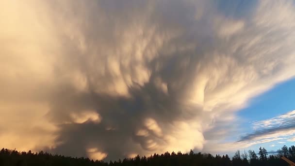 Storm Clouds Sky Thunderstorm — Stock video