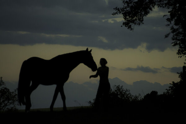 Silhouette of girl with horse