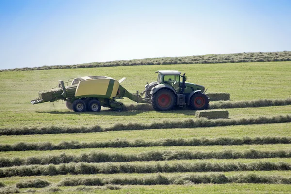 Harvesting hay tractor work on field make haystacks — Stock Photo, Image